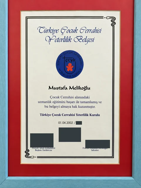 Türkiye Çocuk Cerrahisi Yeterlilik Belgesi