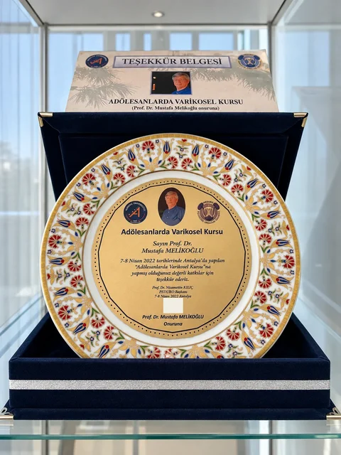 Adölesanlarda Varikosel Kursu teşekkür plaketi
