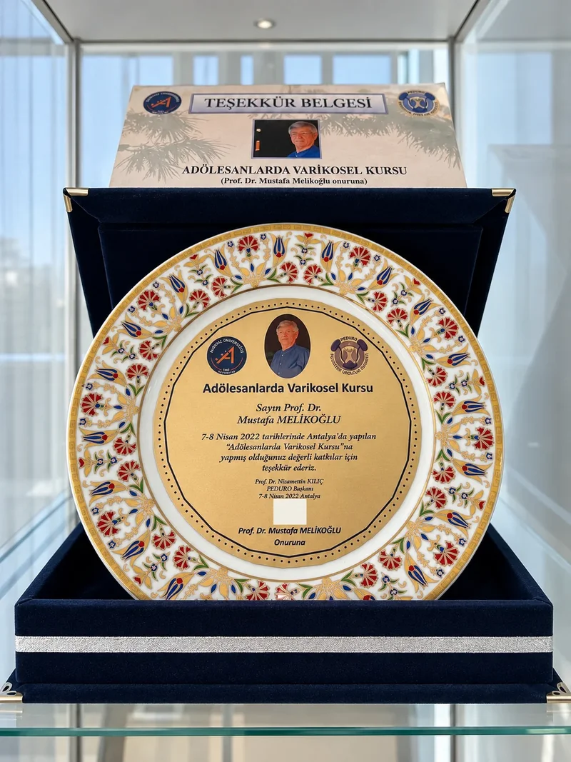 Adölesanlarda Varikosel Kursu teşekkür plaketi