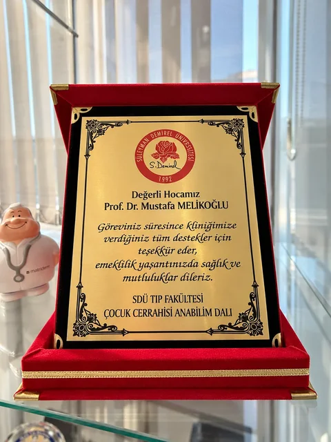 Süleyman Demirel Üniversitesi teşekkür plaketi