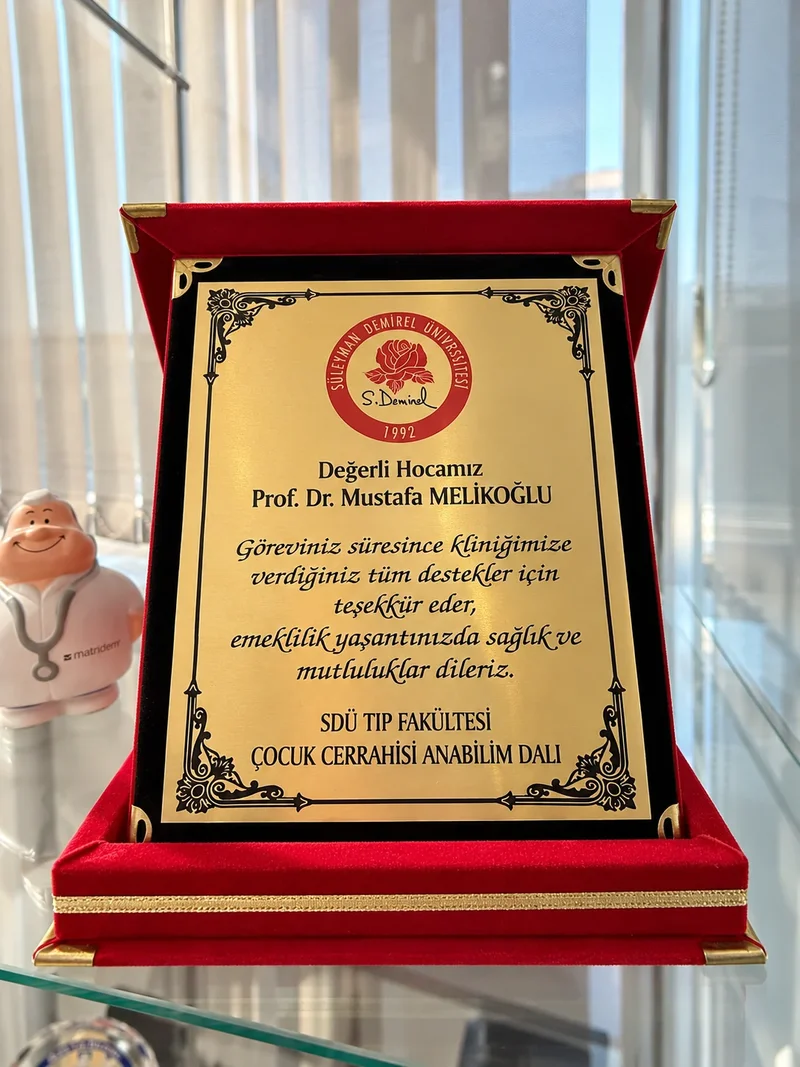 Süleyman Demirel Üniversitesi teşekkür plaketi